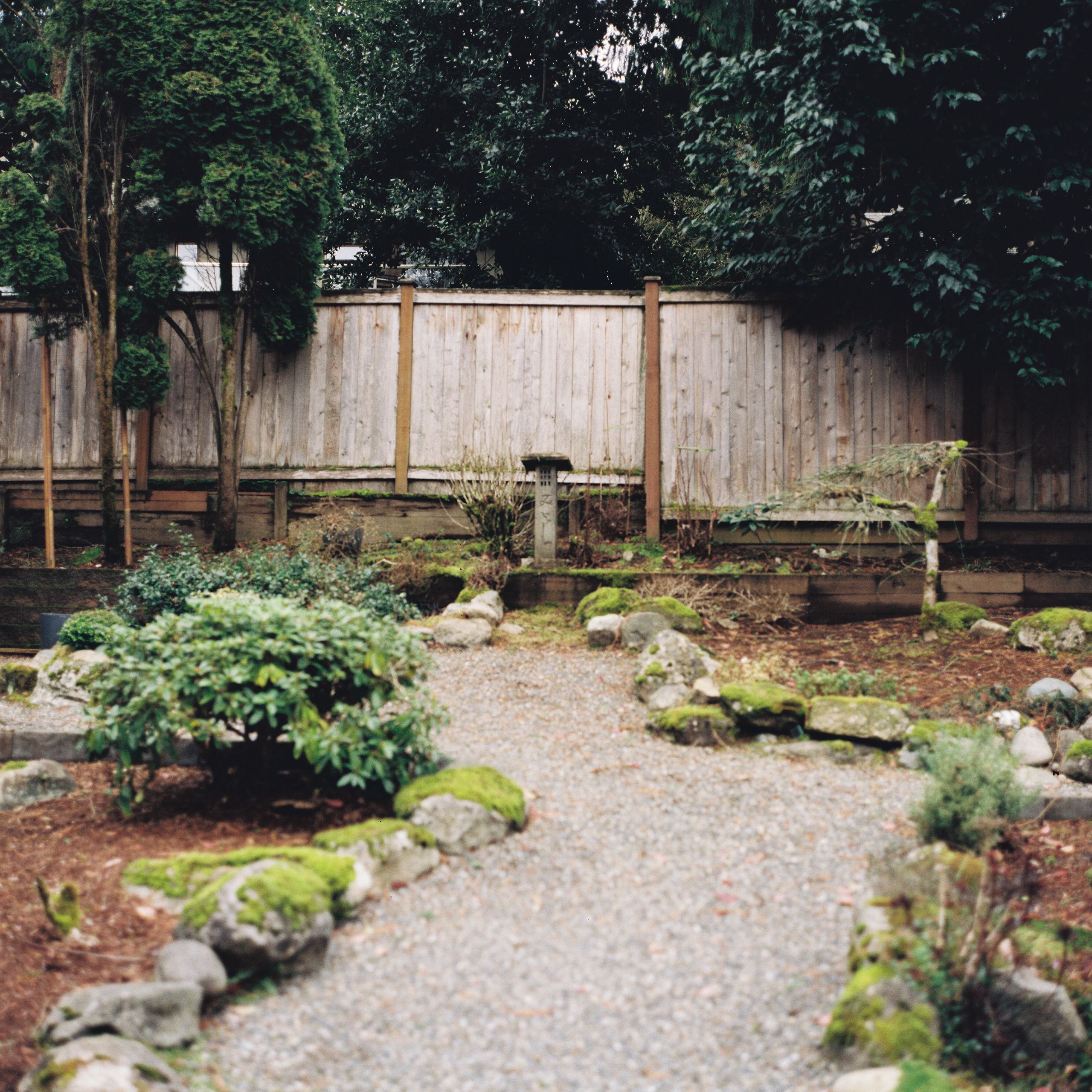 120 film photograph by Ethan Duval