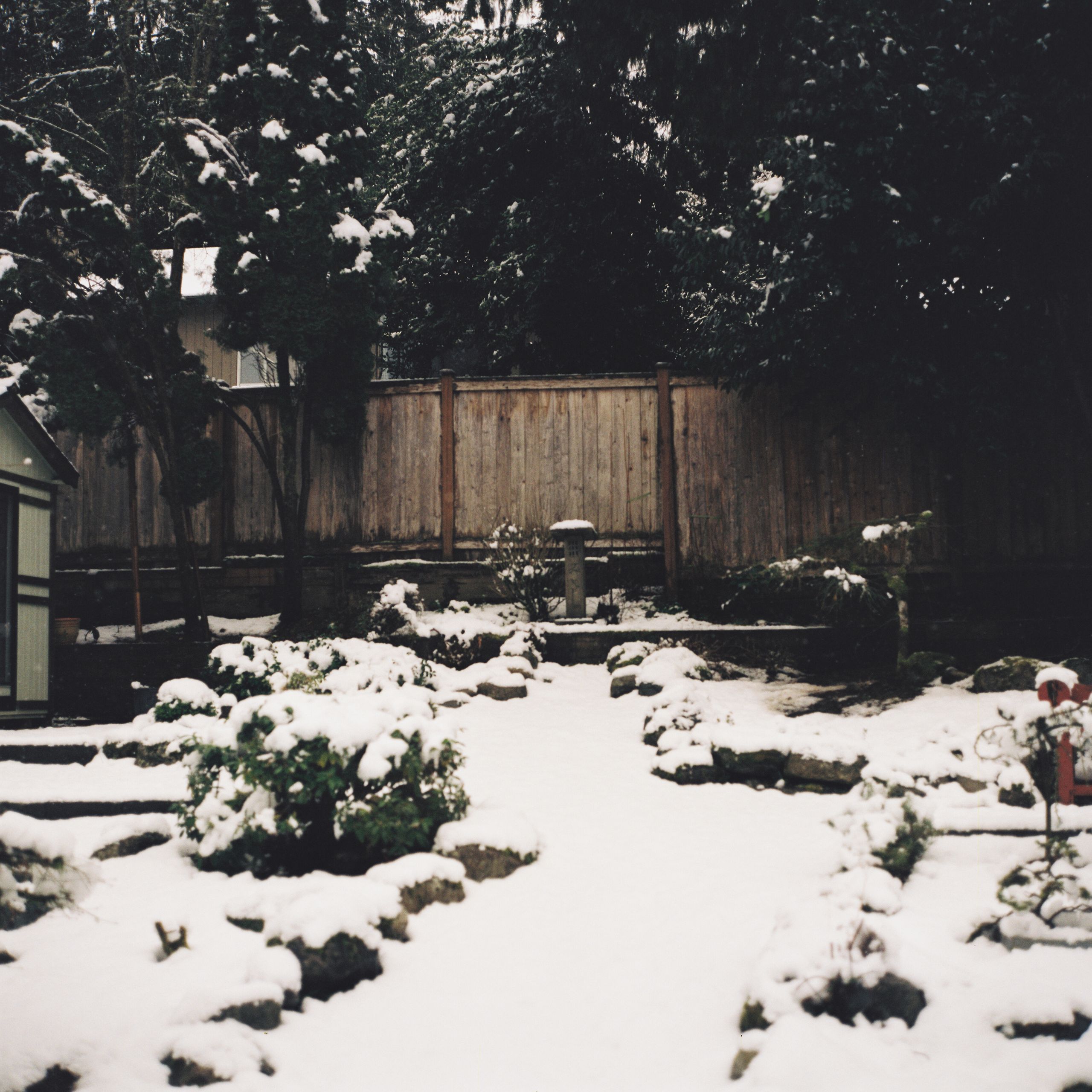 120 film photograph by Ethan Duval