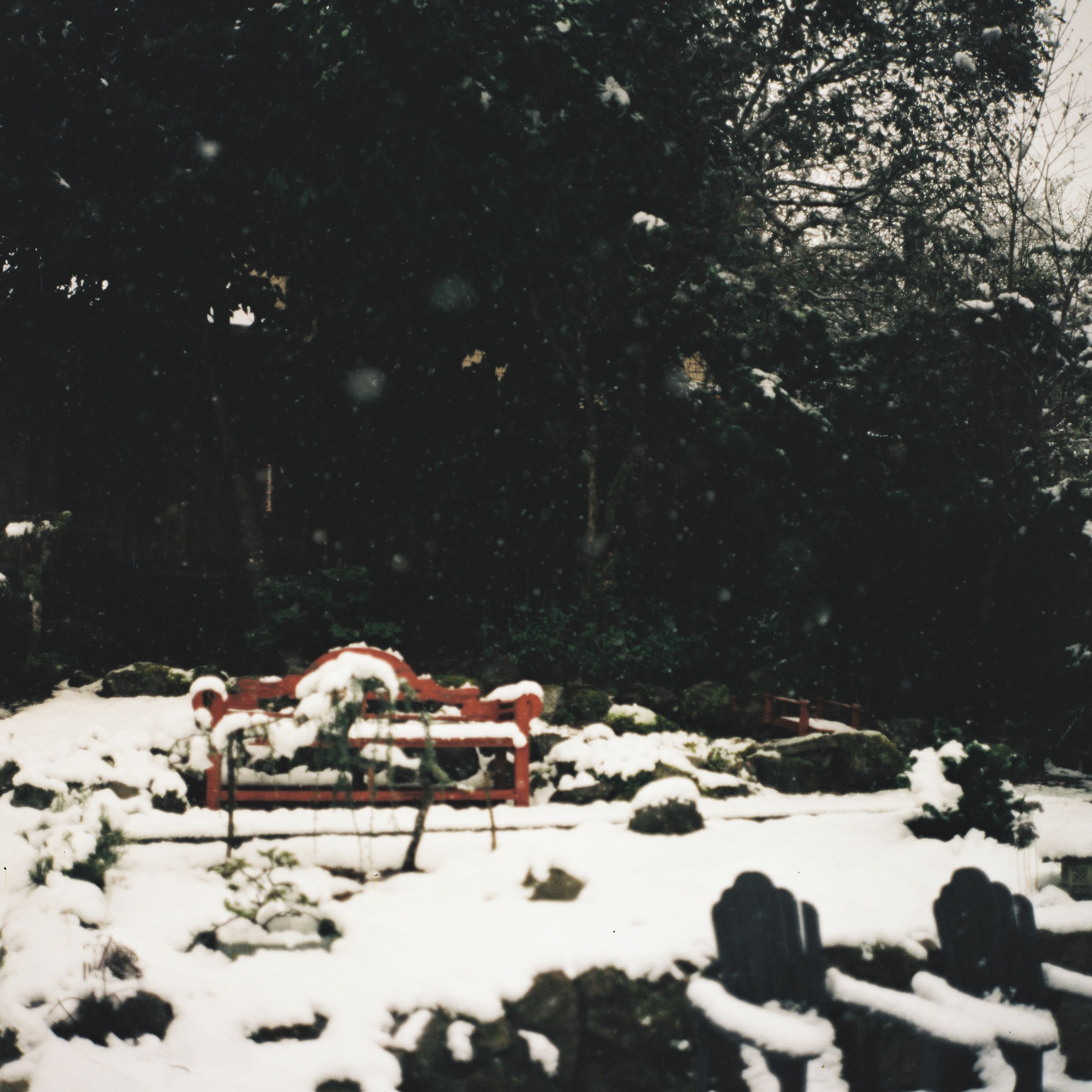 120 film photograph by Ethan Duval